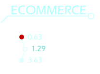 Ecommerce